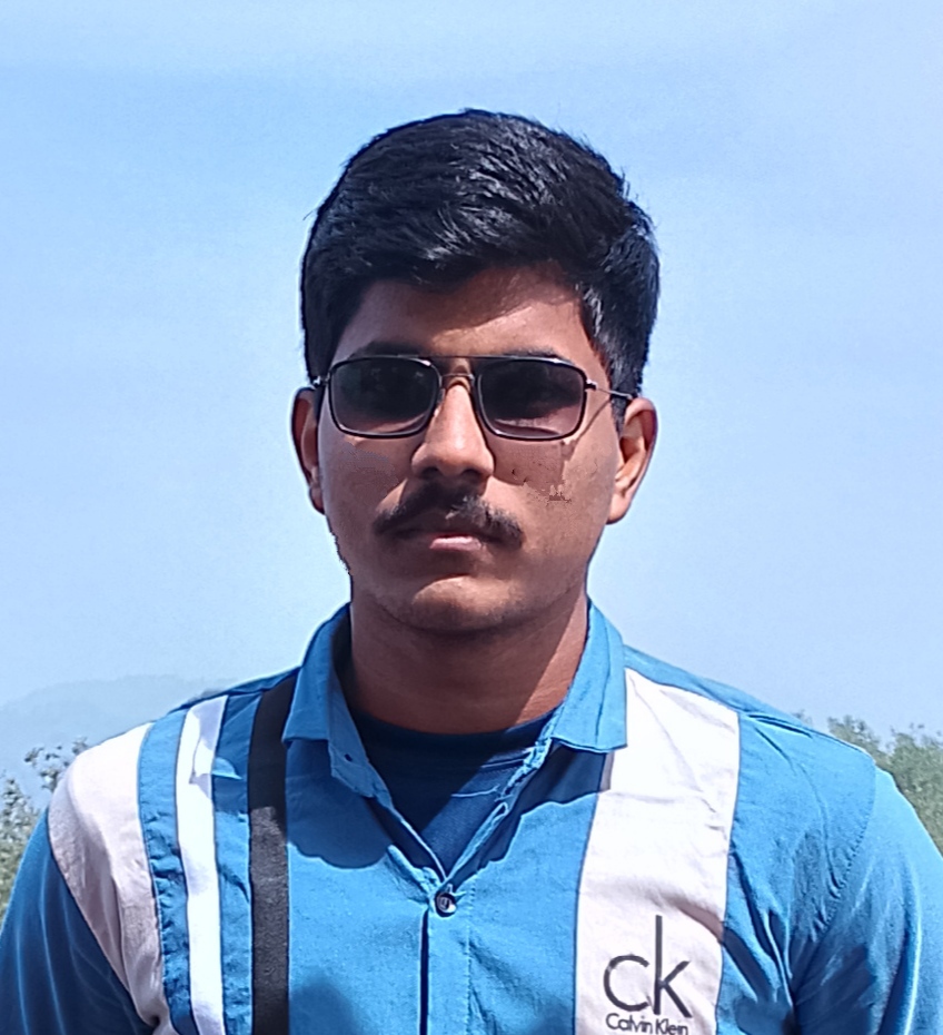 Thoubic Imran - Power Platform Developer